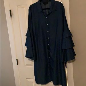Ashley Stewart denim dress